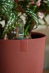 jazz round 26cm tuscan red